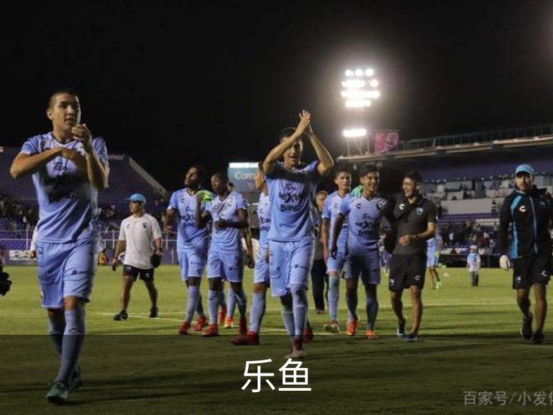 了解乐鱼